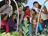 Students work together to grow garden and friendship