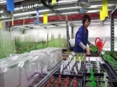 Video: Researchers develop bio-fuel breakthrough