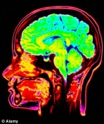 Scientists plan to build computer replica of human brain
