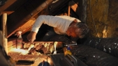 30,000 honeybees saved and relocated from New Jersey home