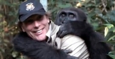 Man reunited with gorilla he raised after five years apart