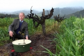A box that keeps plants hydrated in the Desert