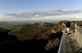Potential cancer drug found in Australian rainforest