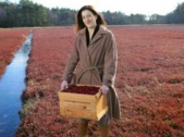 Research shows how cranberry juice fights bacteria at the molecular level