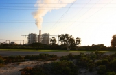 Scientists discover potential key to environmental improvement