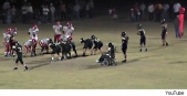 Wheelchair-bound high school football player scores touchdown