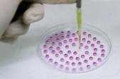 Scientists make blood from skin cells